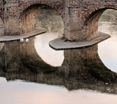 The center arches of the old bridge with swans in view